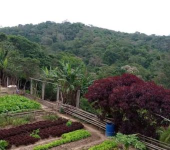 WhatsApp Image 2025-09-02 at 10.42.28 (3)